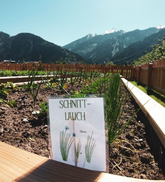 Der Eden Garten 20.jpg