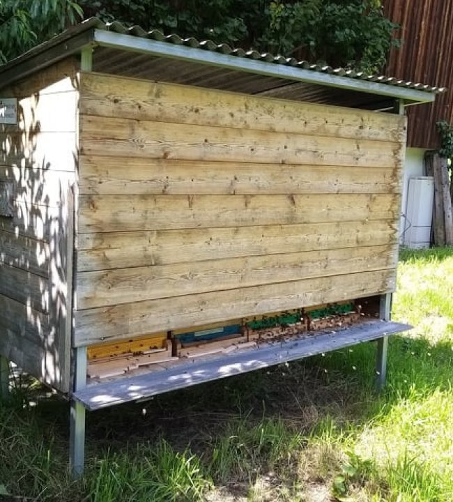 Ein Paradies für Bienen 03.jpg