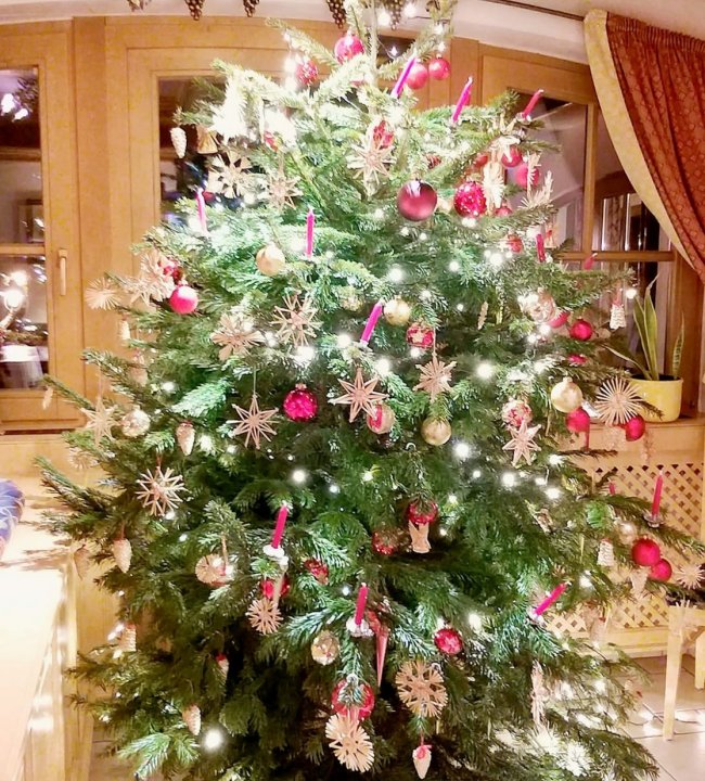Weihnachten im Edenlehen 145.jpg