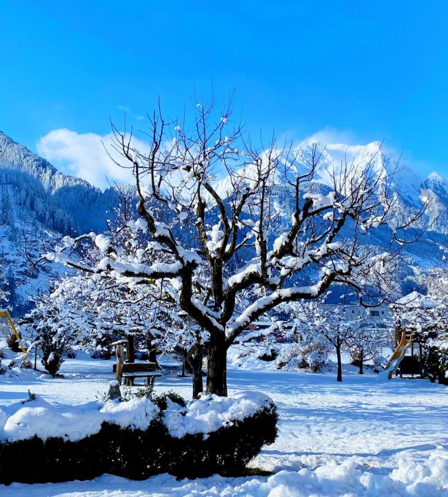 Winterwonderland 03.jpg