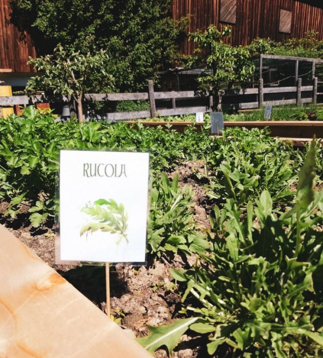 Der Eden Garten 08.jpg