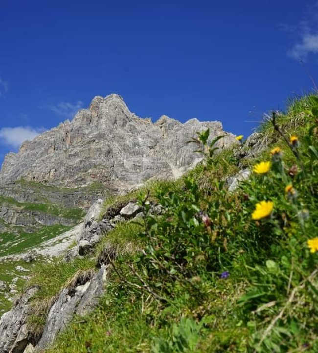 Der Almsommer beginnt 06.jpg