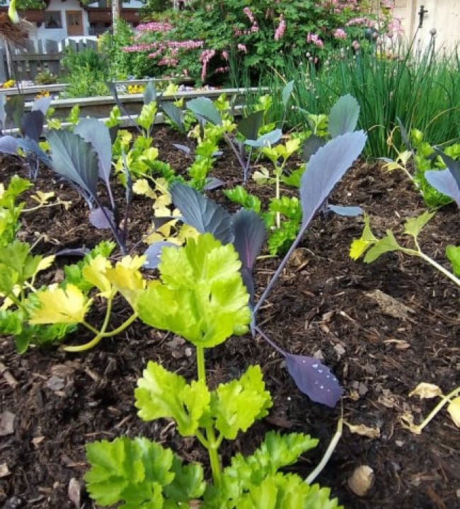 Der Garten Eden 06.jpg