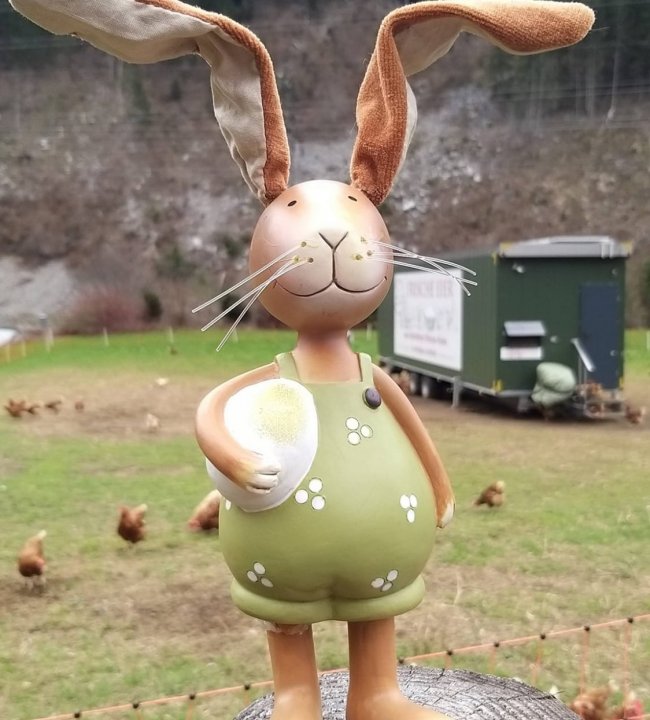 Ein Osternest vom Edenlehen 01.jpg