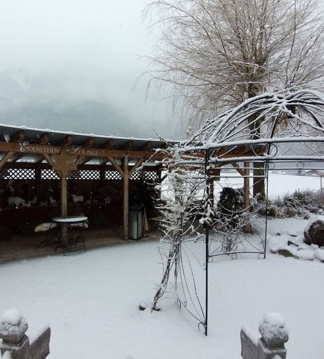 Snow is falling 03.jpg