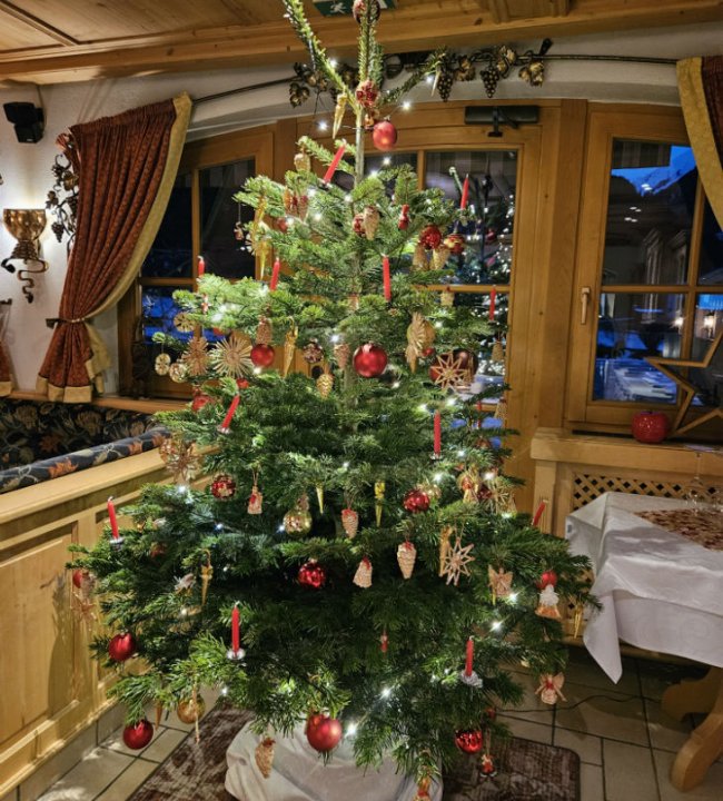 Weihnachten im Edenlehen 01-w1000-h973.jpg