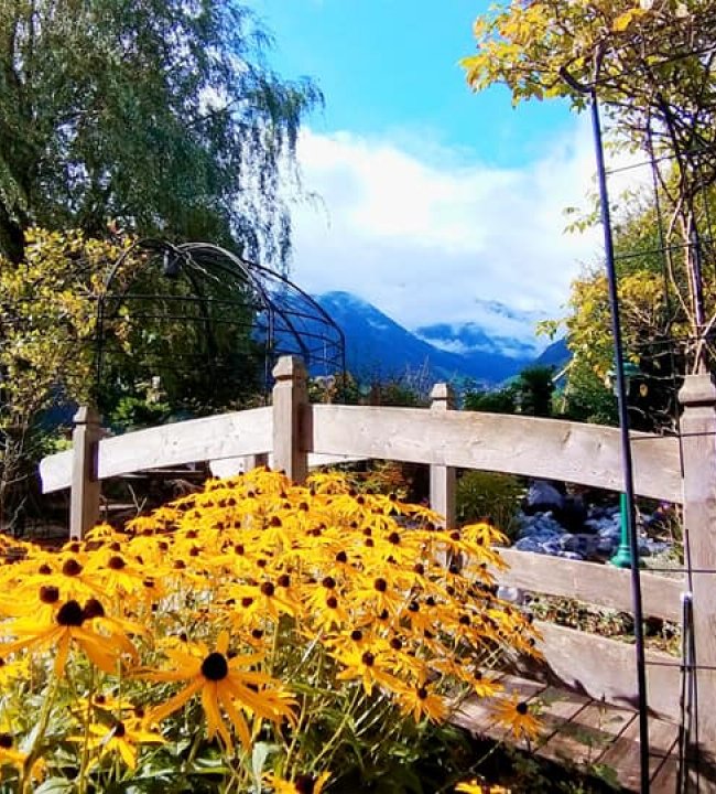 der herbst in all seinen farben 03.jpg