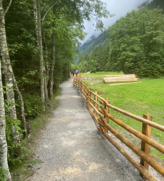 Neue Wege gehen 03.jpg