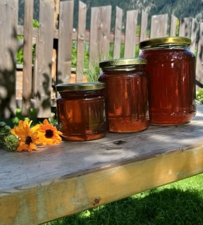 Ein Paradies für Bienen 05.jpg