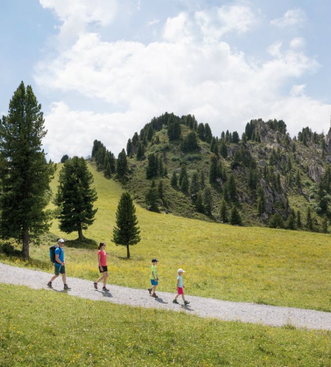 Endlich Bergsommer 07.jpg