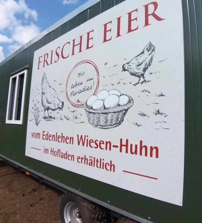 Frische Eier vom Edenlehen 01.jpg