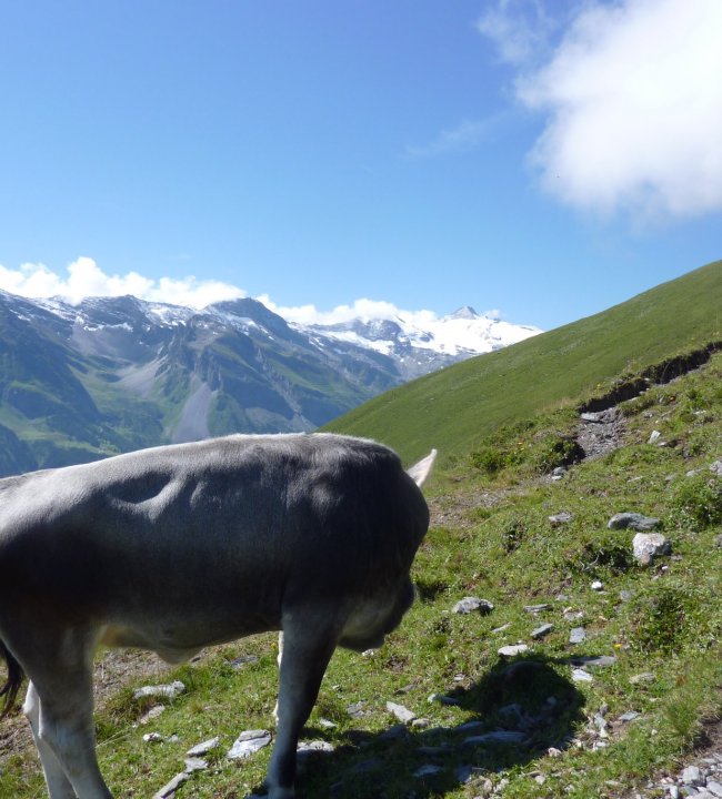 Bergmomente Gruebelspitze 01.jpg