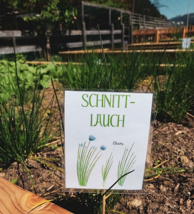 Der Eden Garten 28.jpg
