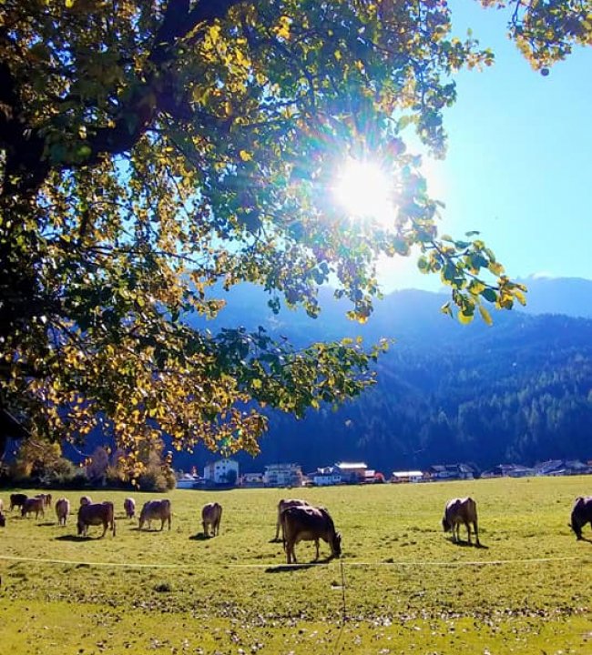Ein Herbst zum Verlieben 02.jpg