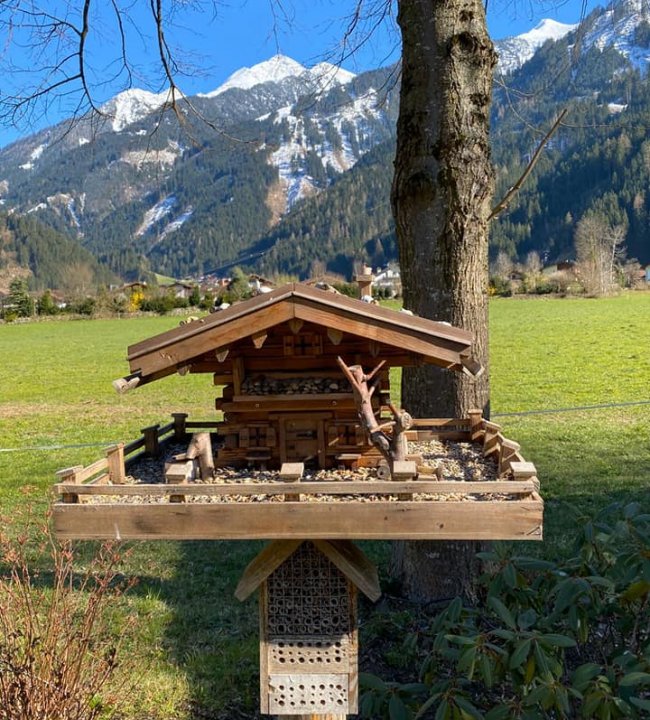Fruehlingserwachen 03.jpg