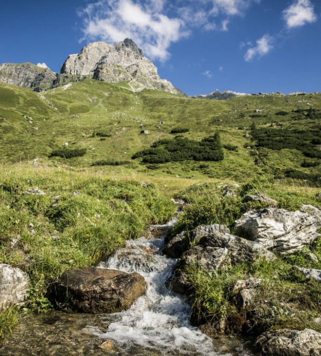 Im Einklang mit der Natur 01.jpg