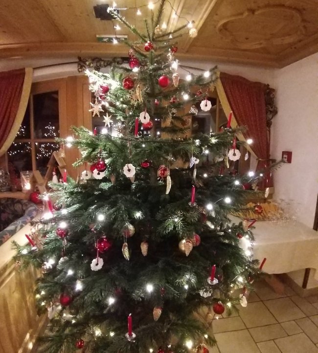 Weihnachten im Edenlehen 03.jpg