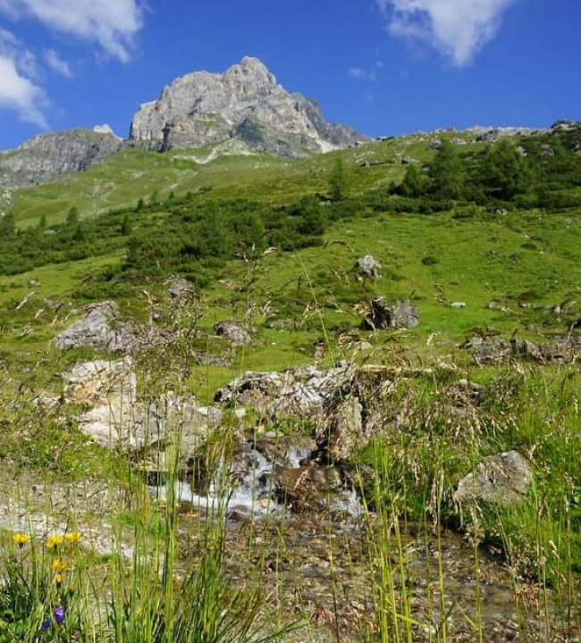 Der Almsommer beginnt 08.jpg