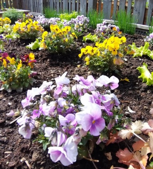 Der Garten Eden 03.jpg