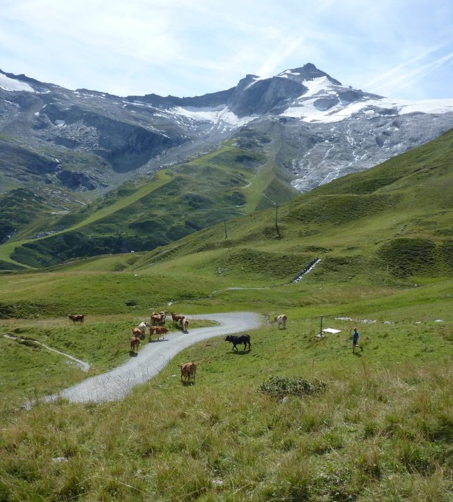Bergerlebnisse 04.jpg
