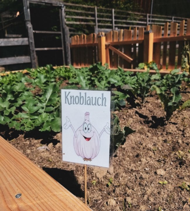 Der Eden Garten 26.jpg