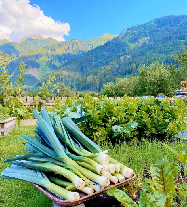 Garten Eden 04.jpg