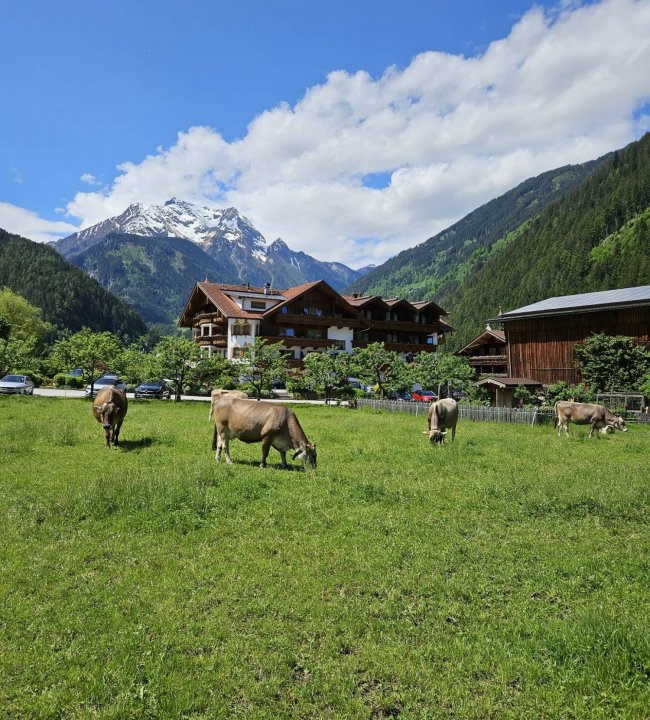 Natur erleben 02.jpg