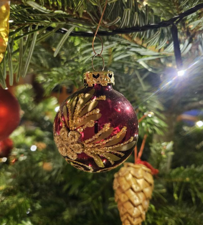 Weihnachten im Edenlehen 02-w1000-h973.jpg