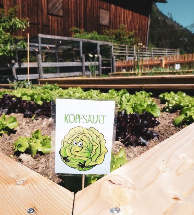 Der Eden Garten 25.jpg