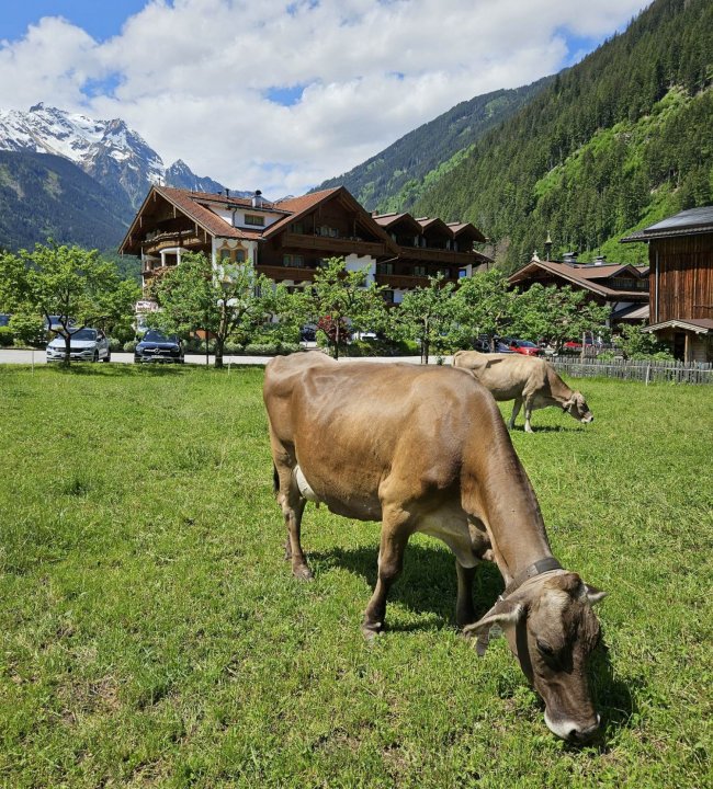 Natur erleben 01.jpg