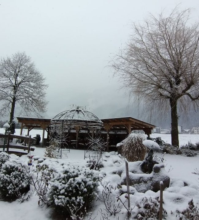 Snow is falling 01.jpg