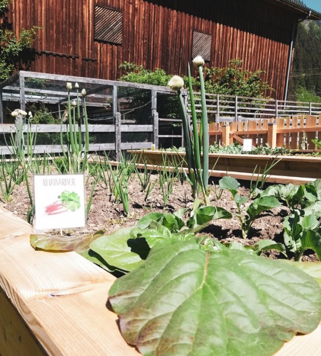 Der Eden Garten 13.jpg