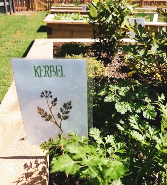 Der Eden Garten 22.jpg