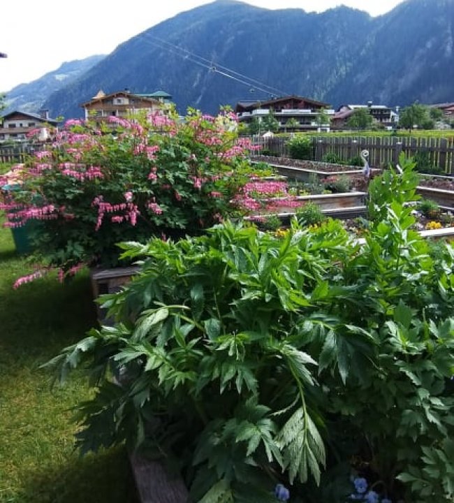 Der Garten Eden 02.jpg