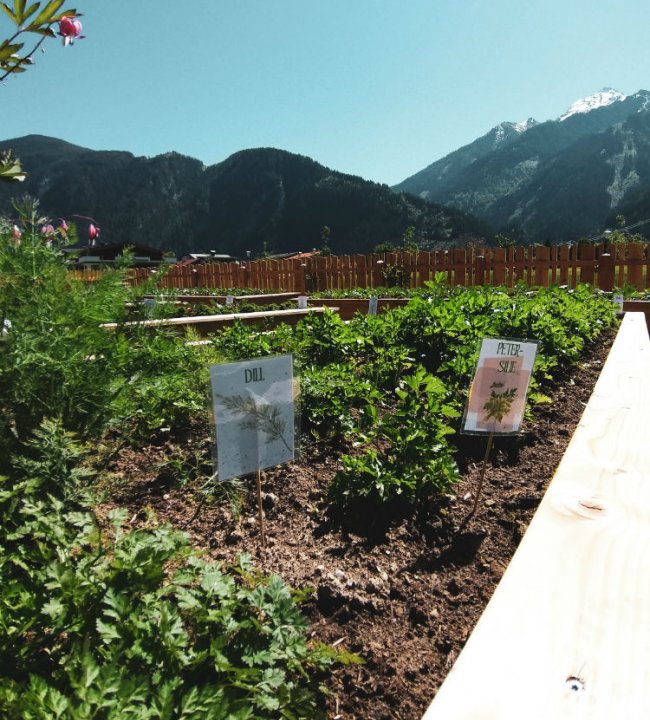 Der Eden Garten 21.jpg