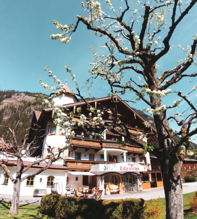 Fruehlingserwachen.jpg