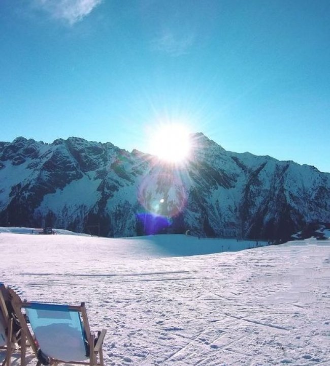 Ahorn Sonne 01.jpg
