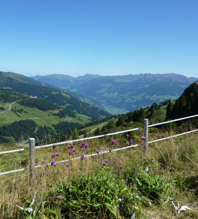 Bergwelten erleben 14.jpg