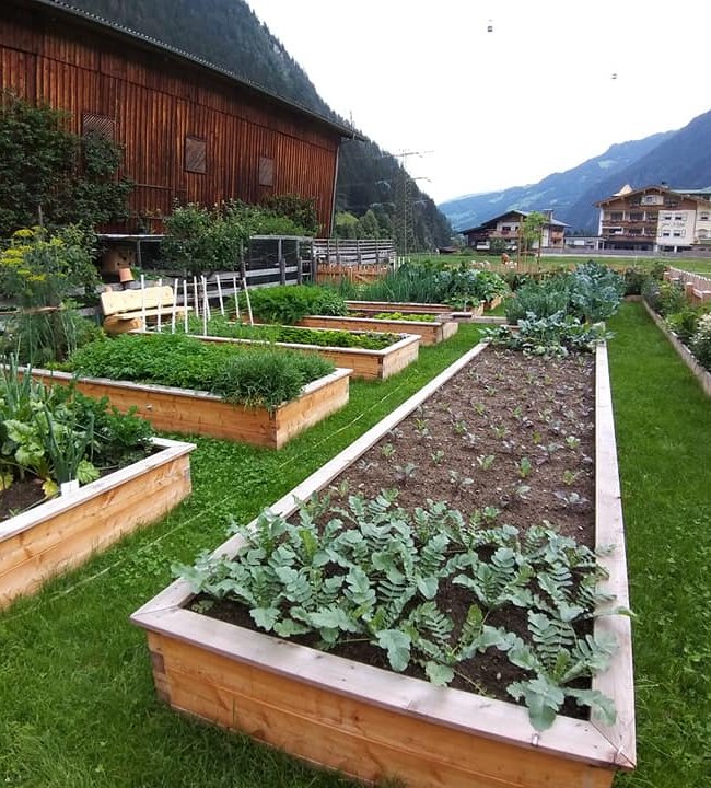 Frisch aus dem Garten 04.jpg