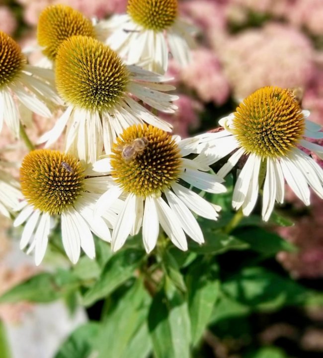 Garten Eden 05.jpg