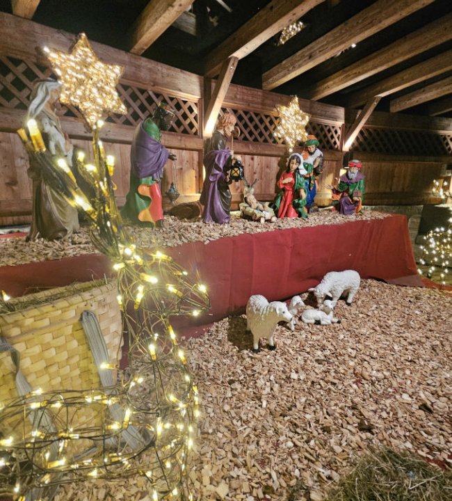 Weihnachten im Edenlehen 05-w1000-h973.jpg