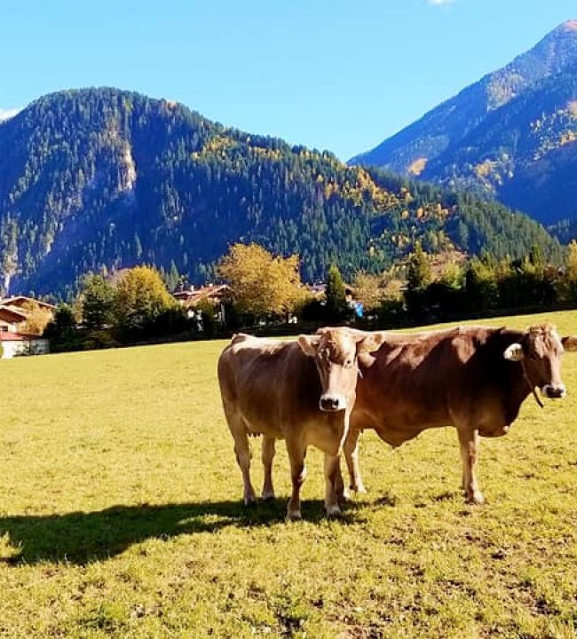 Ein Herbst zum Verlieben 03.jpg
