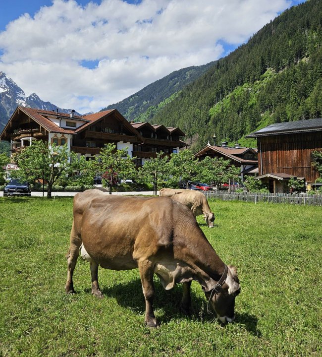 Natur erleben 03.jpg