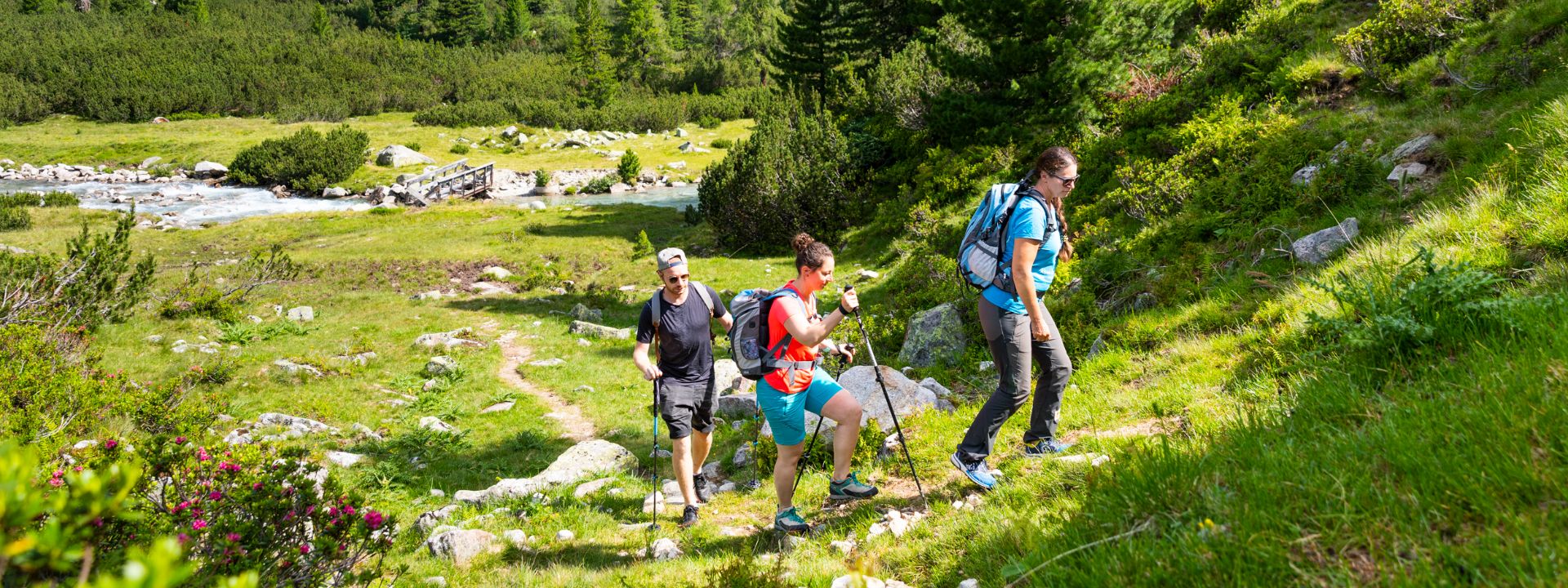 Wandern